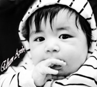 Mohammad Elham Ayobi 