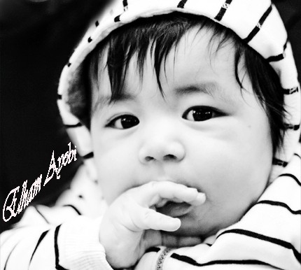 Mohammad Elham Ayobi 